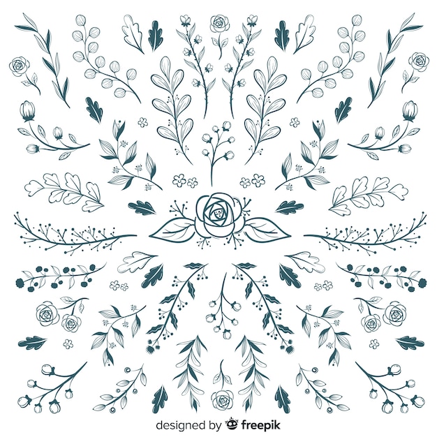 Hand drawn floral ornament collection