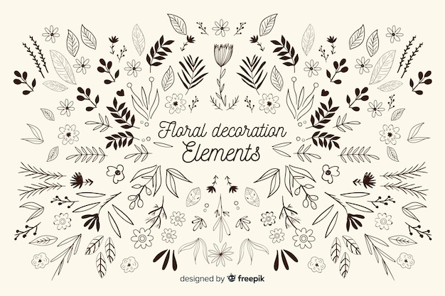 Hand drawn floral ornamental element pack