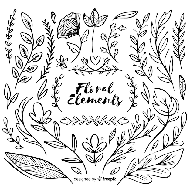 Free Vector hand drawn floral ornamental elements