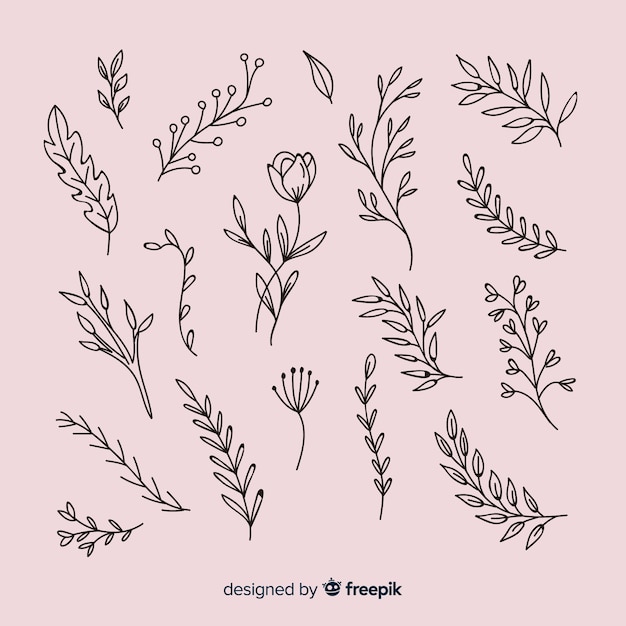 Hand drawn floral ornamental elements