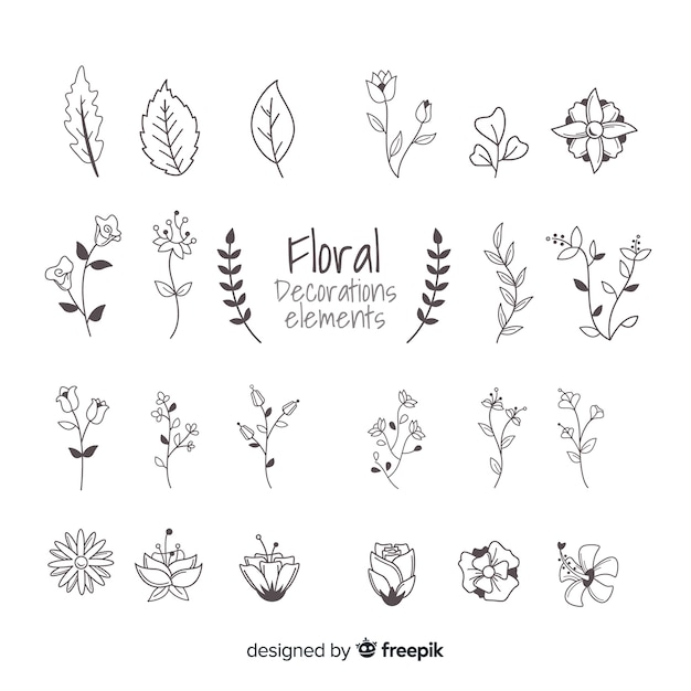 Hand drawn floral ornamental elements