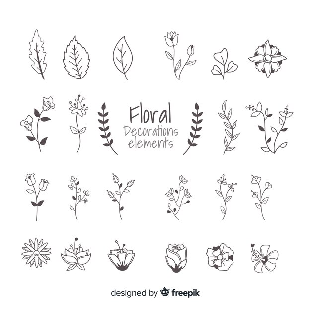 Hand drawn floral ornamental elements