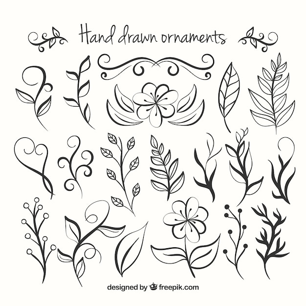 Hand Drawn Floral Ornaments Collection