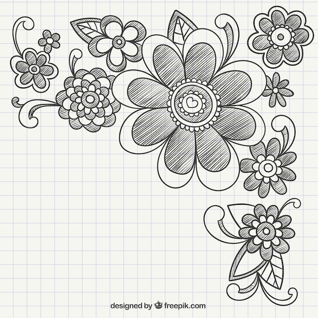 Free Vector hand drawn floral ornaments