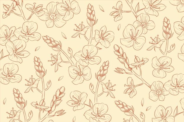 Hand drawn floral outline background