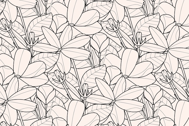 Free Vector hand drawn floral outline background