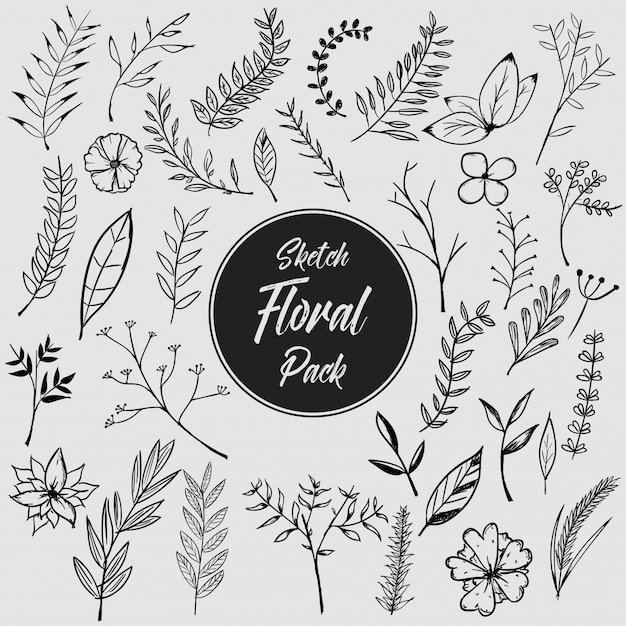 Free Vector hand drawn floral pack