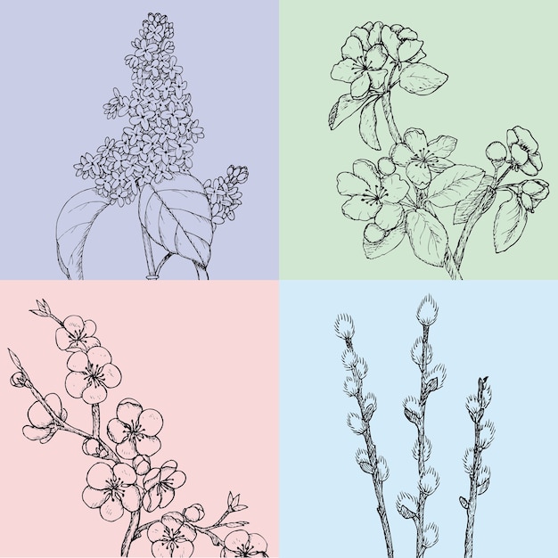 Free Vector hand drawn floral spring illustrations with botanical natural blooming apple cherry willow and lilac branches