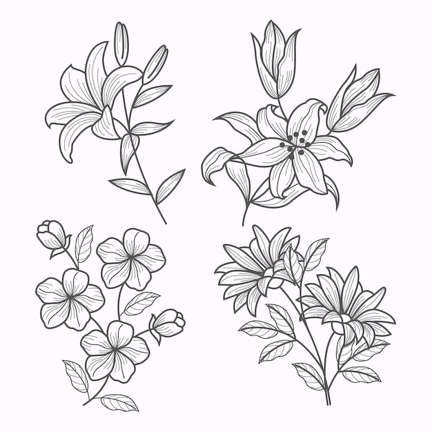 Hand drawn flower collection