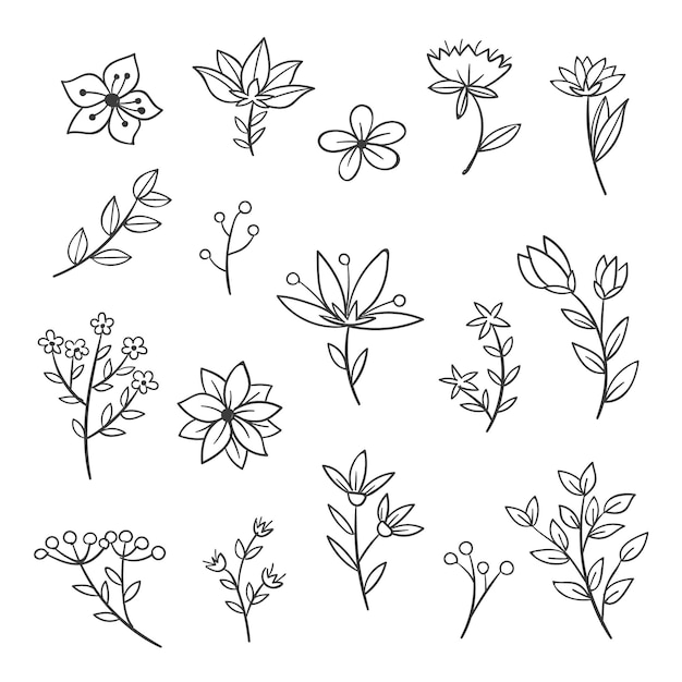 Hand drawn flower collection