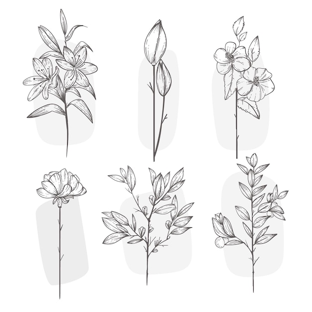 Free Vector hand drawn flower collection