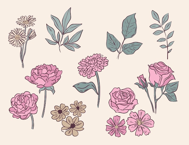 Hand drawn flower collection