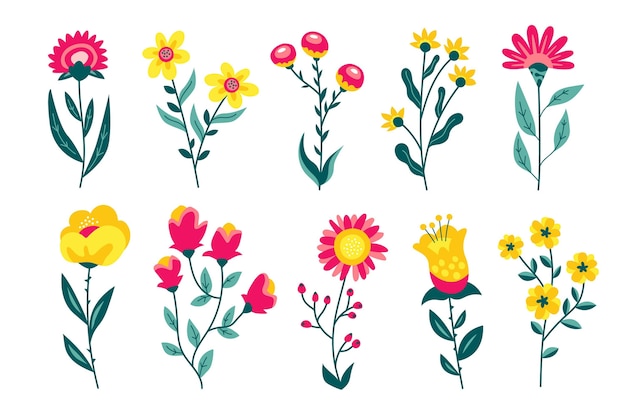 Free Vector hand drawn flower collection