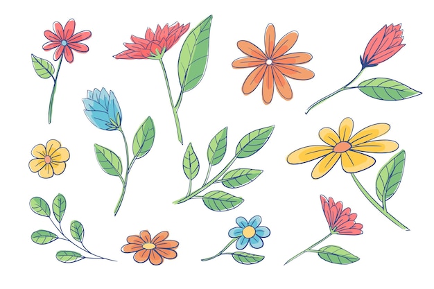 Hand drawn flower collection