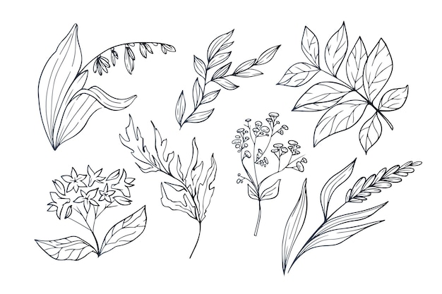 Free Vector hand drawn flower collection