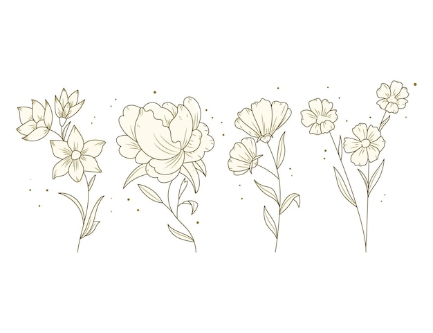 Hand drawn flower collection