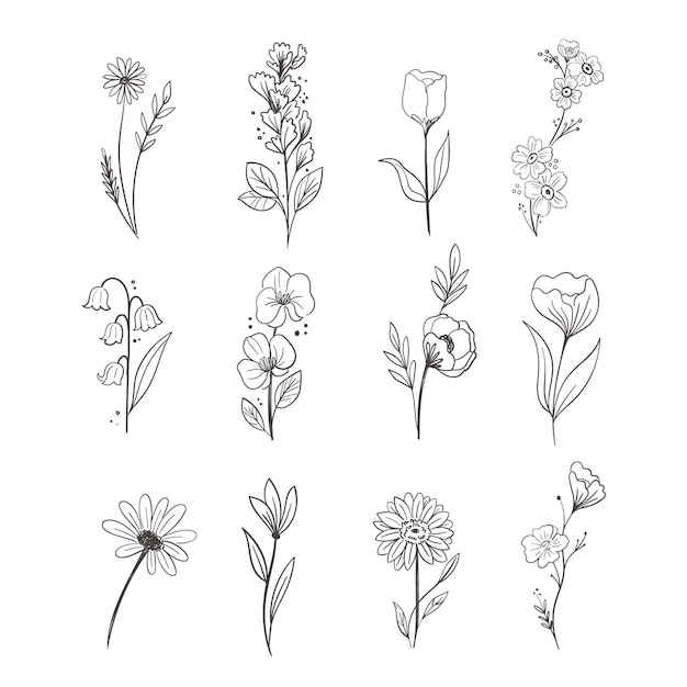 Hand drawn flower collection