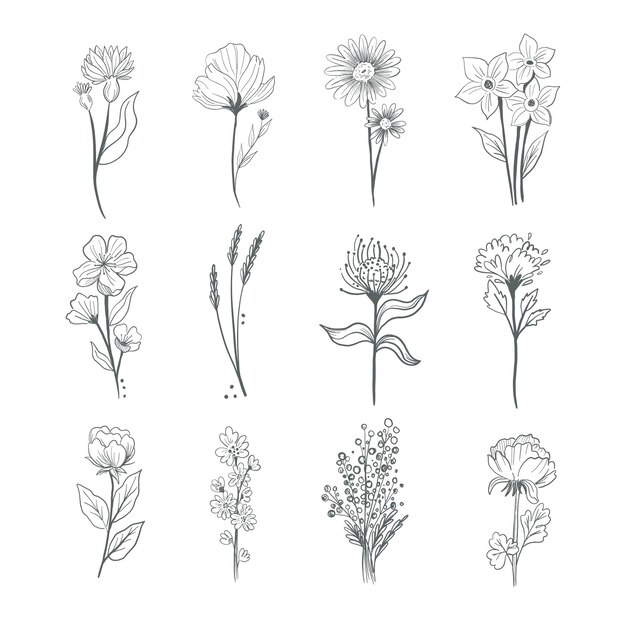 Hand drawn flower collection