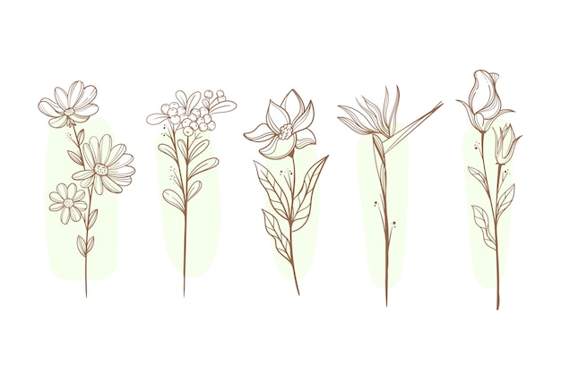 Hand drawn flower collection