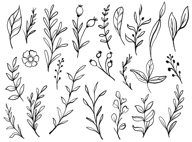 Free Vector hand drawn flower and leaves collection set element