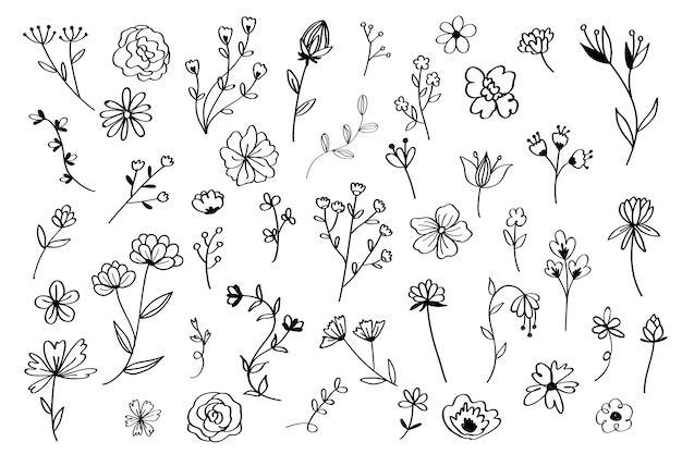 Free Vector hand drawn flower set