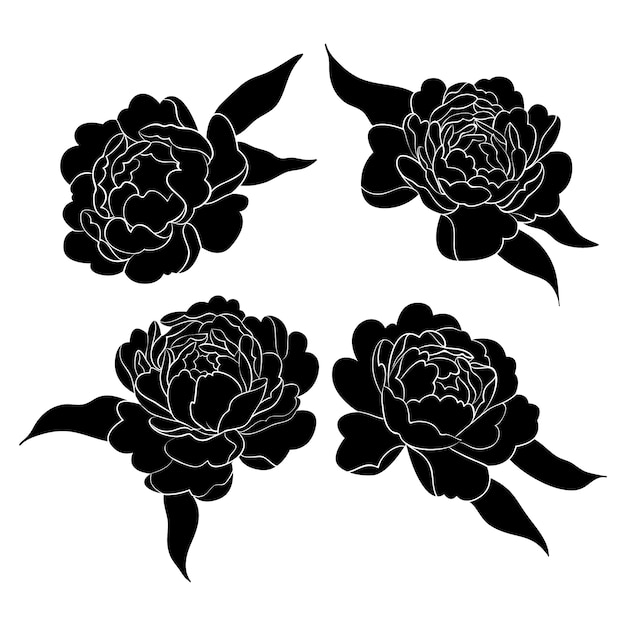 Hand drawn flower silhouettes illustration