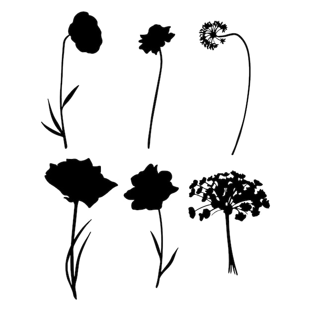 Hand drawn flower silhouettes illustration