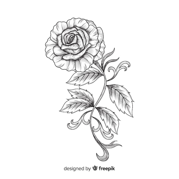 Free Vector hand drawn flower with elegant style