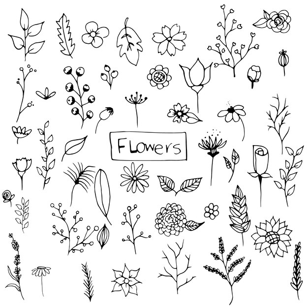 Hand drawn flowers collection