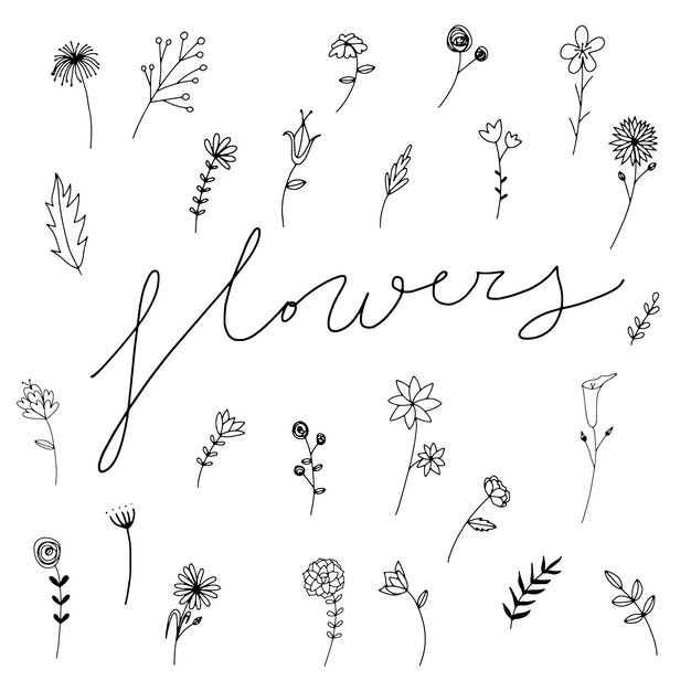 Hand drawn flowers collection