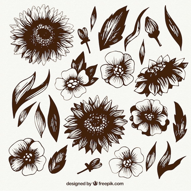 Free Vector hand drawn flowers collection