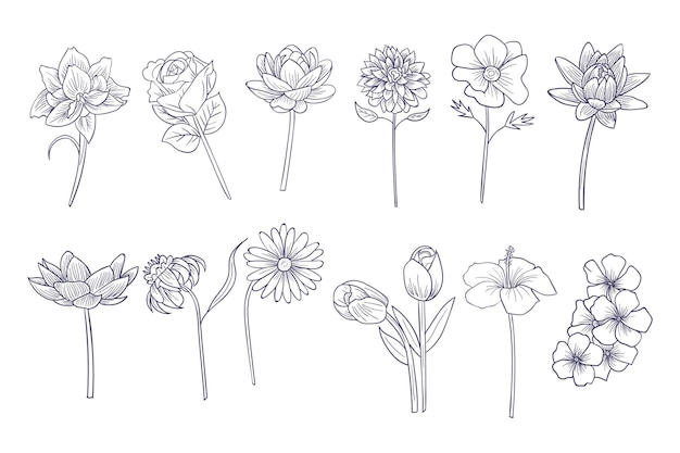 Free Vector hand drawn flowers collection