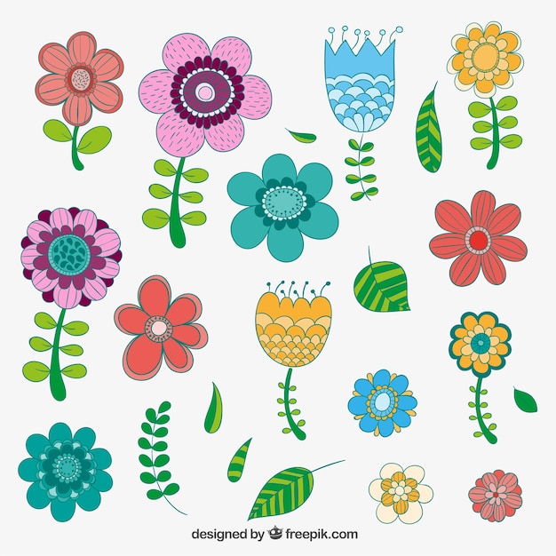 Free Vector hand drawn flowers in colorful style