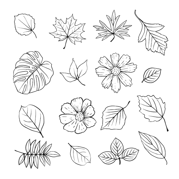 Hand drawn flowers and leaves collection