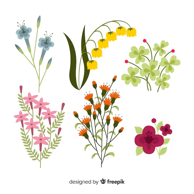 Free Vector hand drawn flowers and leaves collection