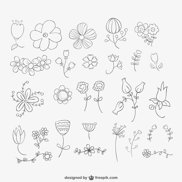 Hand drawn flowers pack