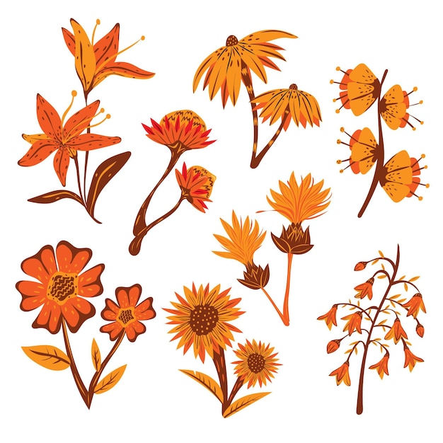 Free Vector hand drawn flowers pack