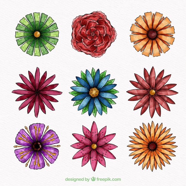 Free Vector hand drawn flowers set 