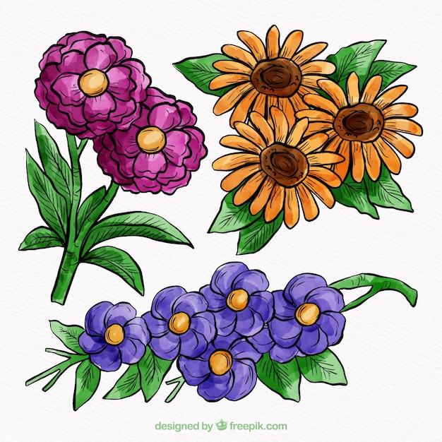 Free Vector hand drawn flowers set 