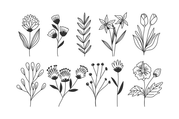 Hand drawn flowers set