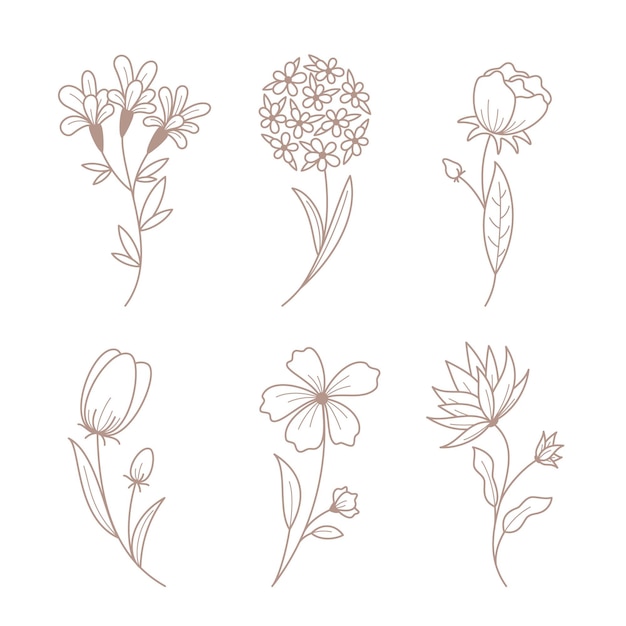 Free vector hand drawn flowers with leaves collection