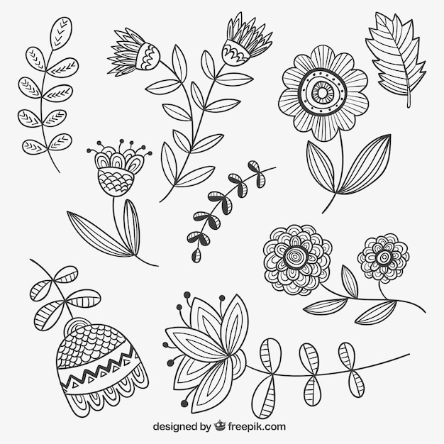 Hand drawn flowers