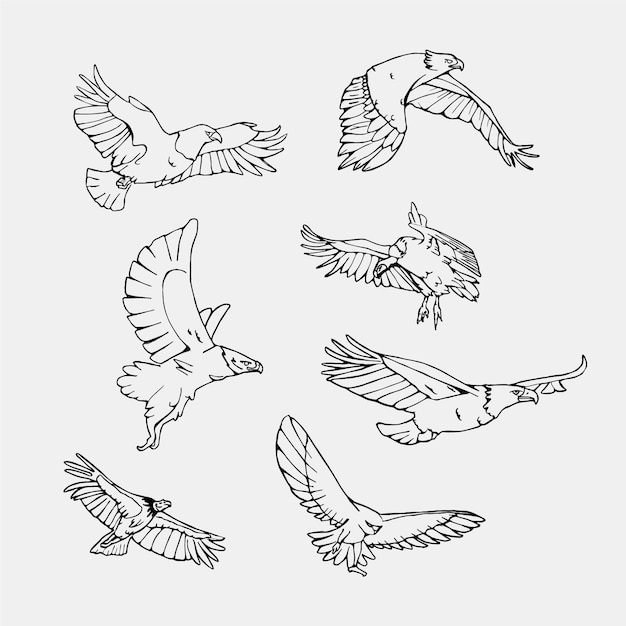 Hand drawn flying birds collection