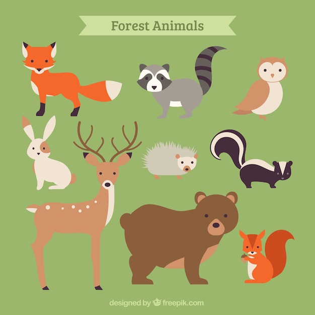 Hand drawn forest animal collection