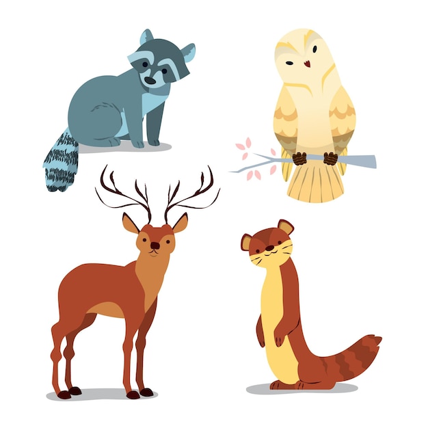 Hand drawn forest animals collection