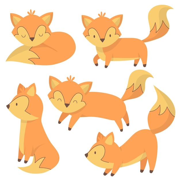 Free Vector hand drawn fox collection