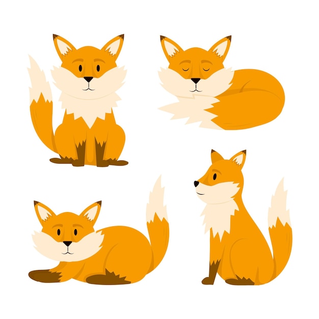 Free Vector hand drawn fox collection