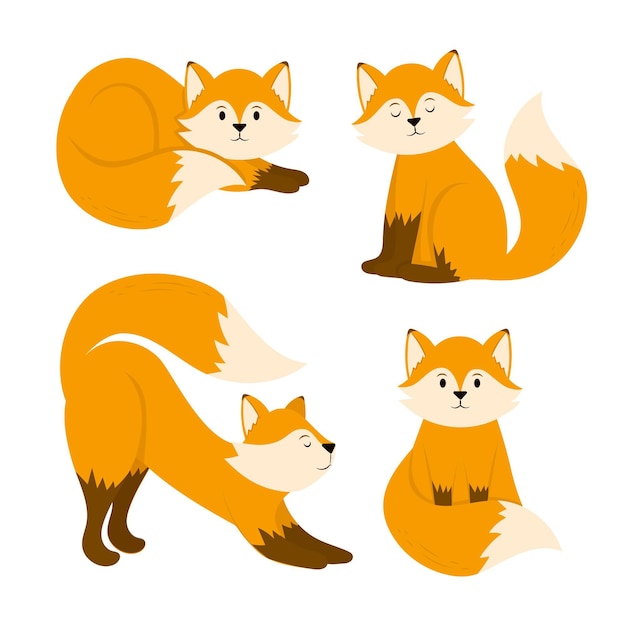 Free Vector hand drawn fox collection