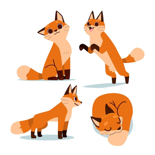 Free Vector hand drawn fox collection