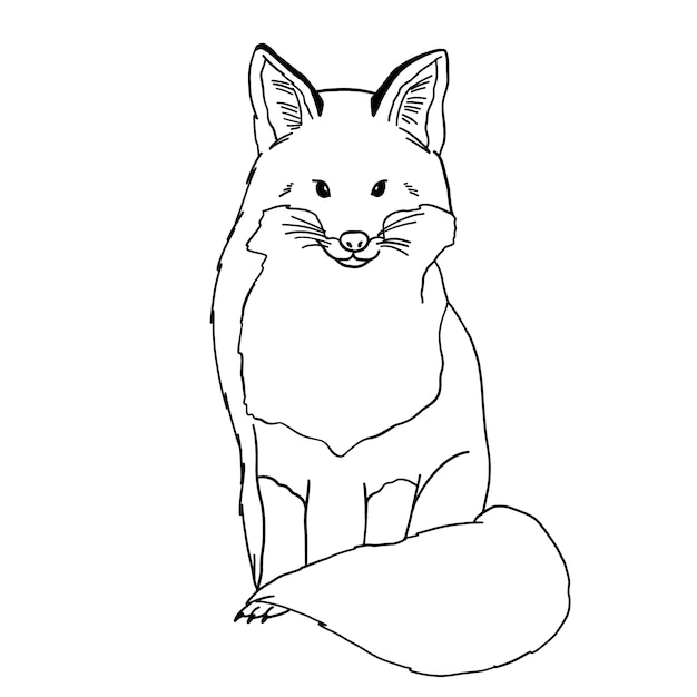 Hand drawn fox outline illustration